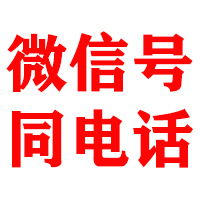 大丰金典要债公司